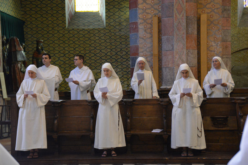 DSC_3080 DSC_3080