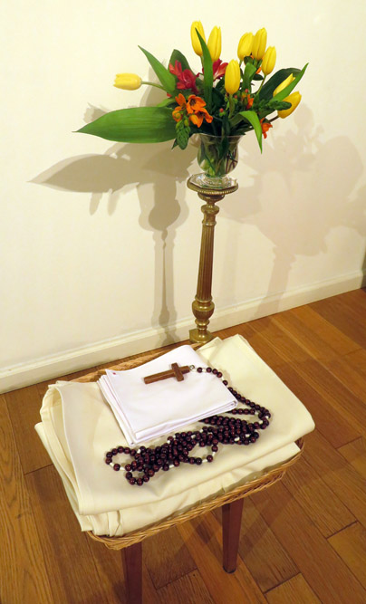 IMG_1486 IMG_1486