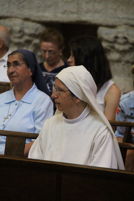 IMG_1952 IMG_1952