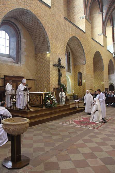 IMG_3439 IMG_3439