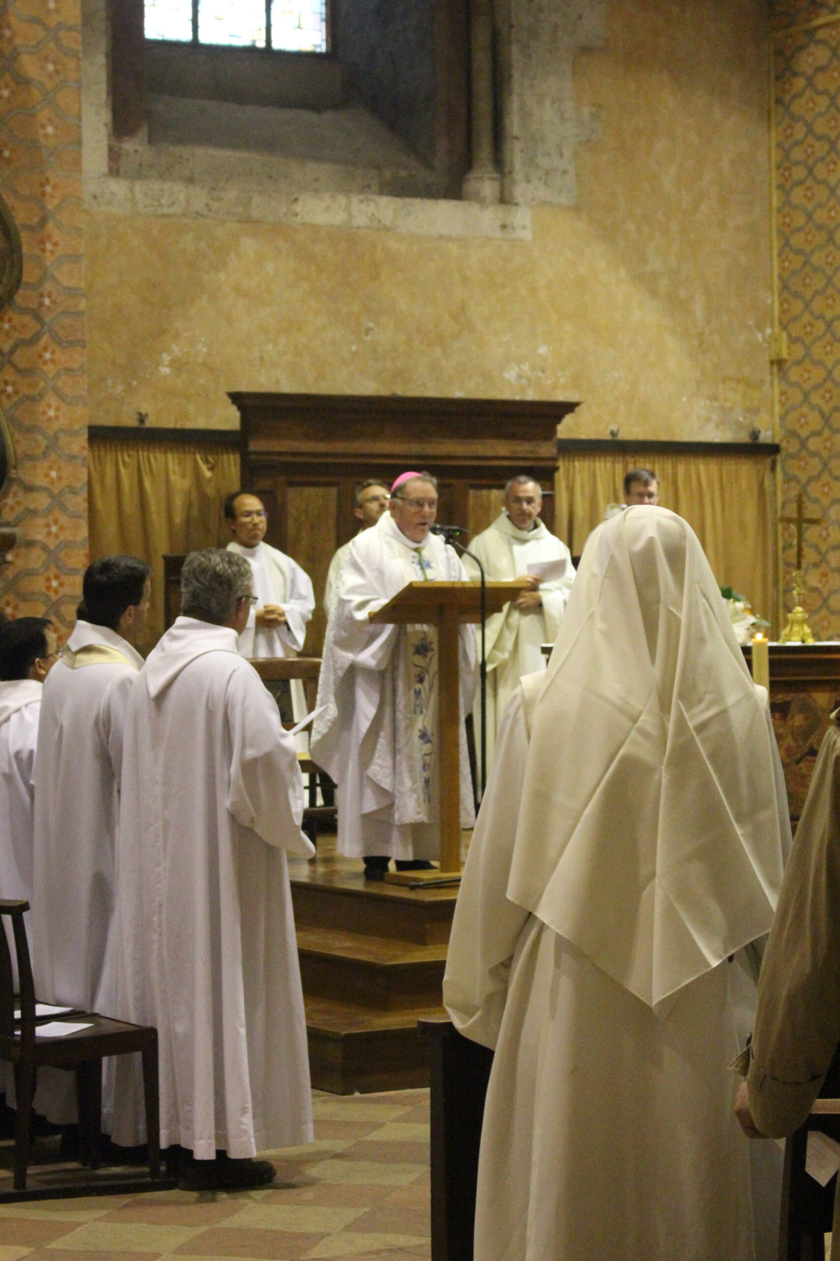 IMG_6537 IMG_6537