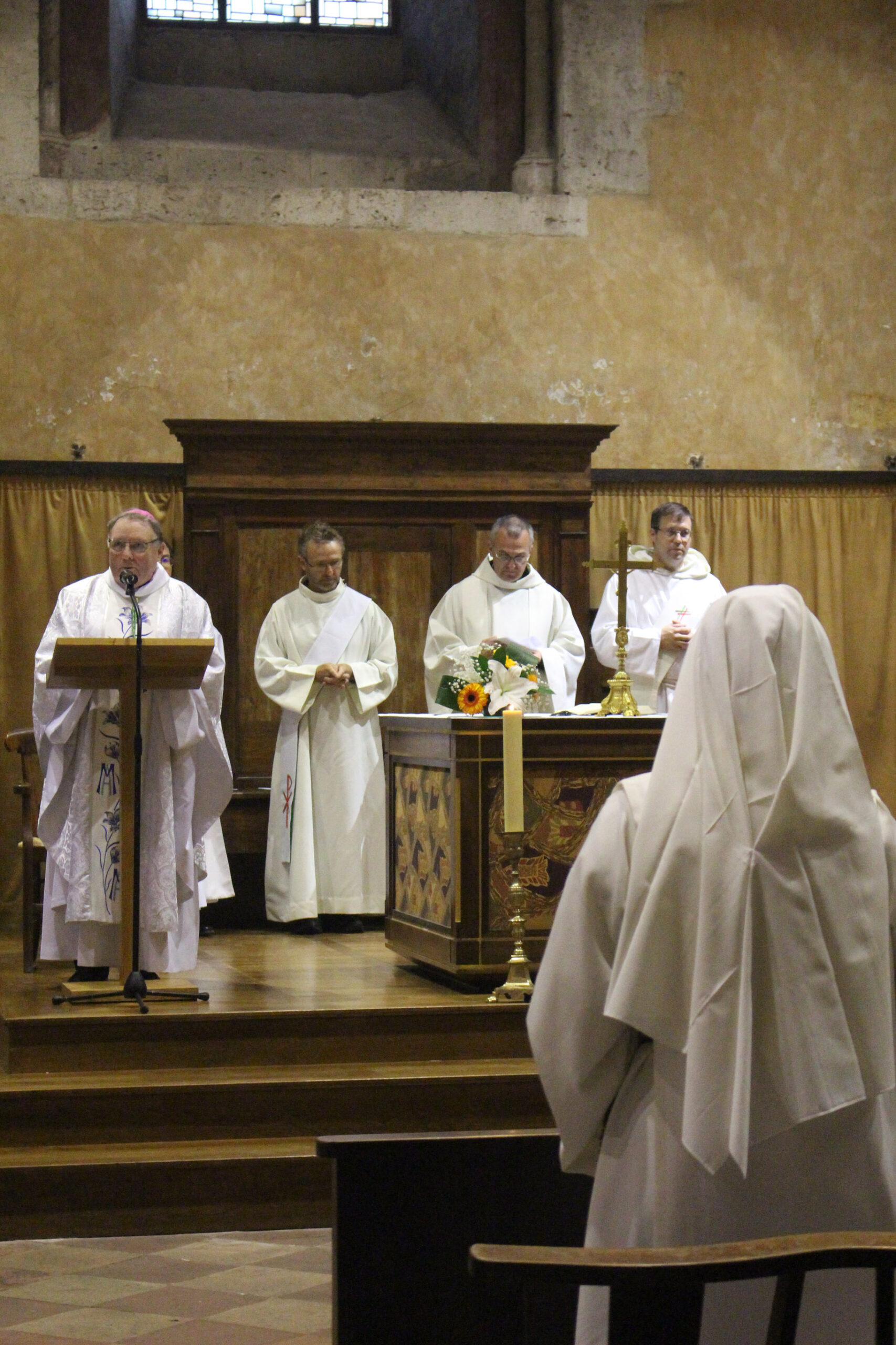 IMG_6538 IMG_6538