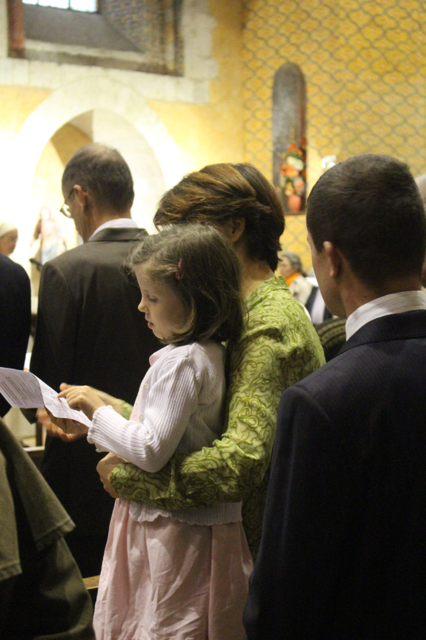 IMG_6541 IMG_6541